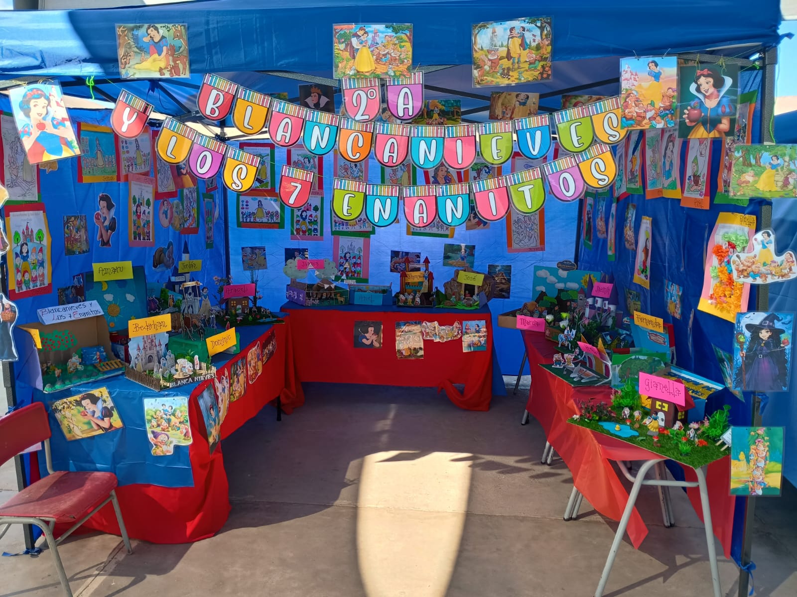 Imagen 15